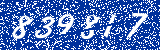 Capcha image
